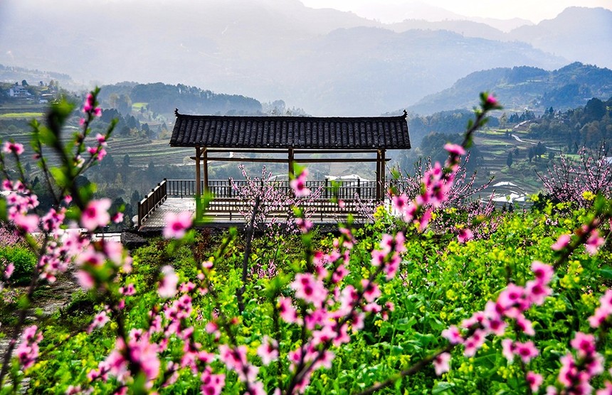 实景图