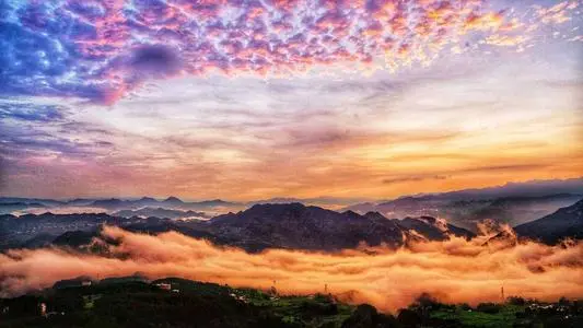 实景图