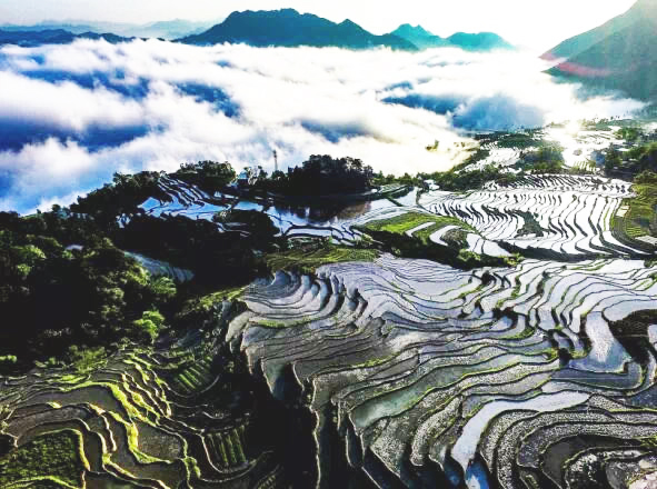 配套图