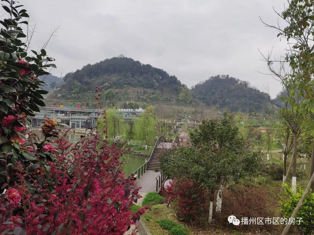 配套图