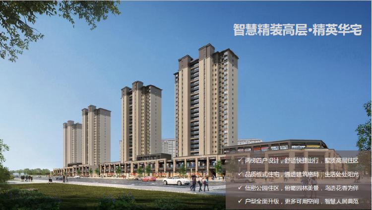 效果图